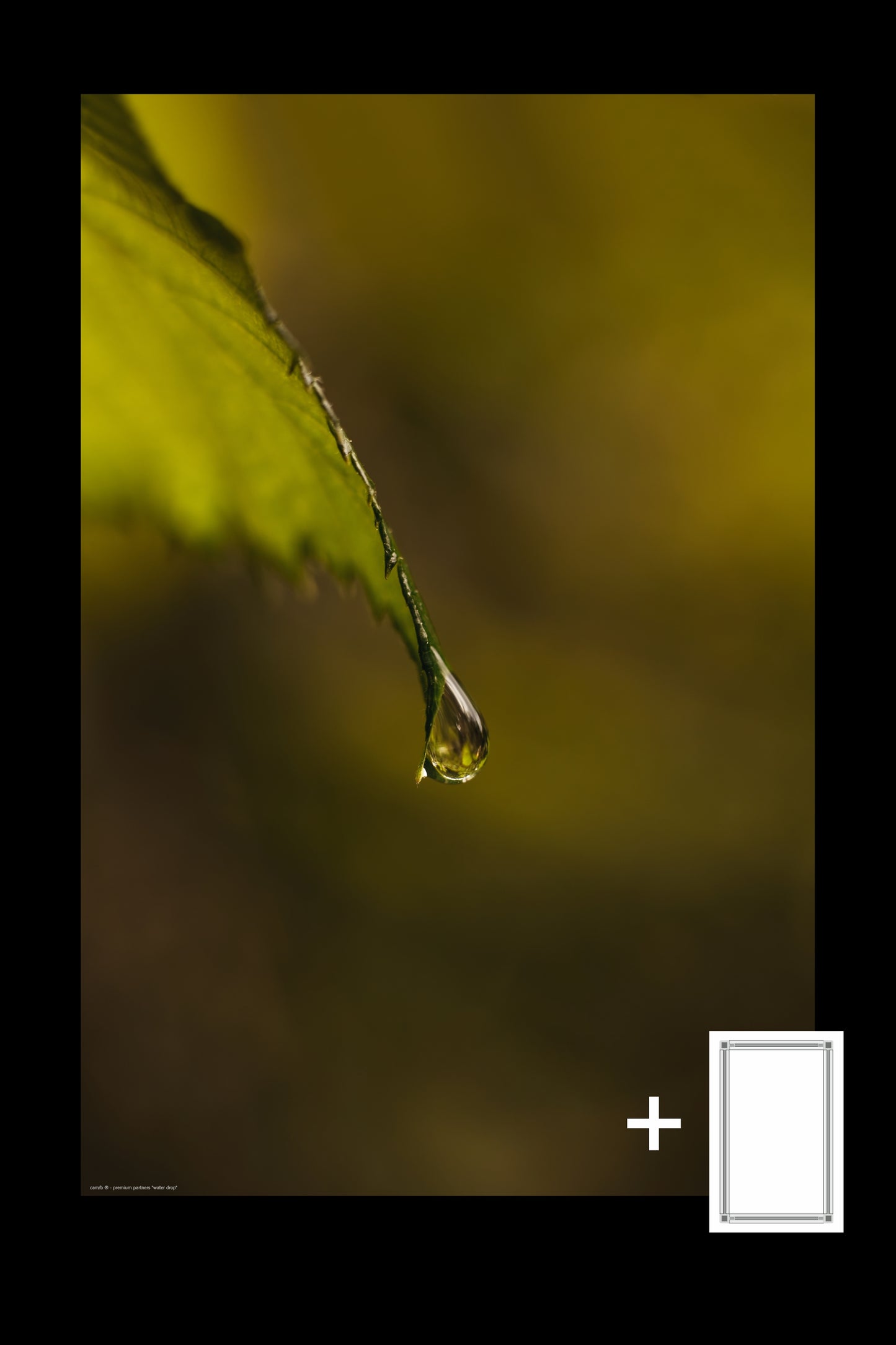 water drop