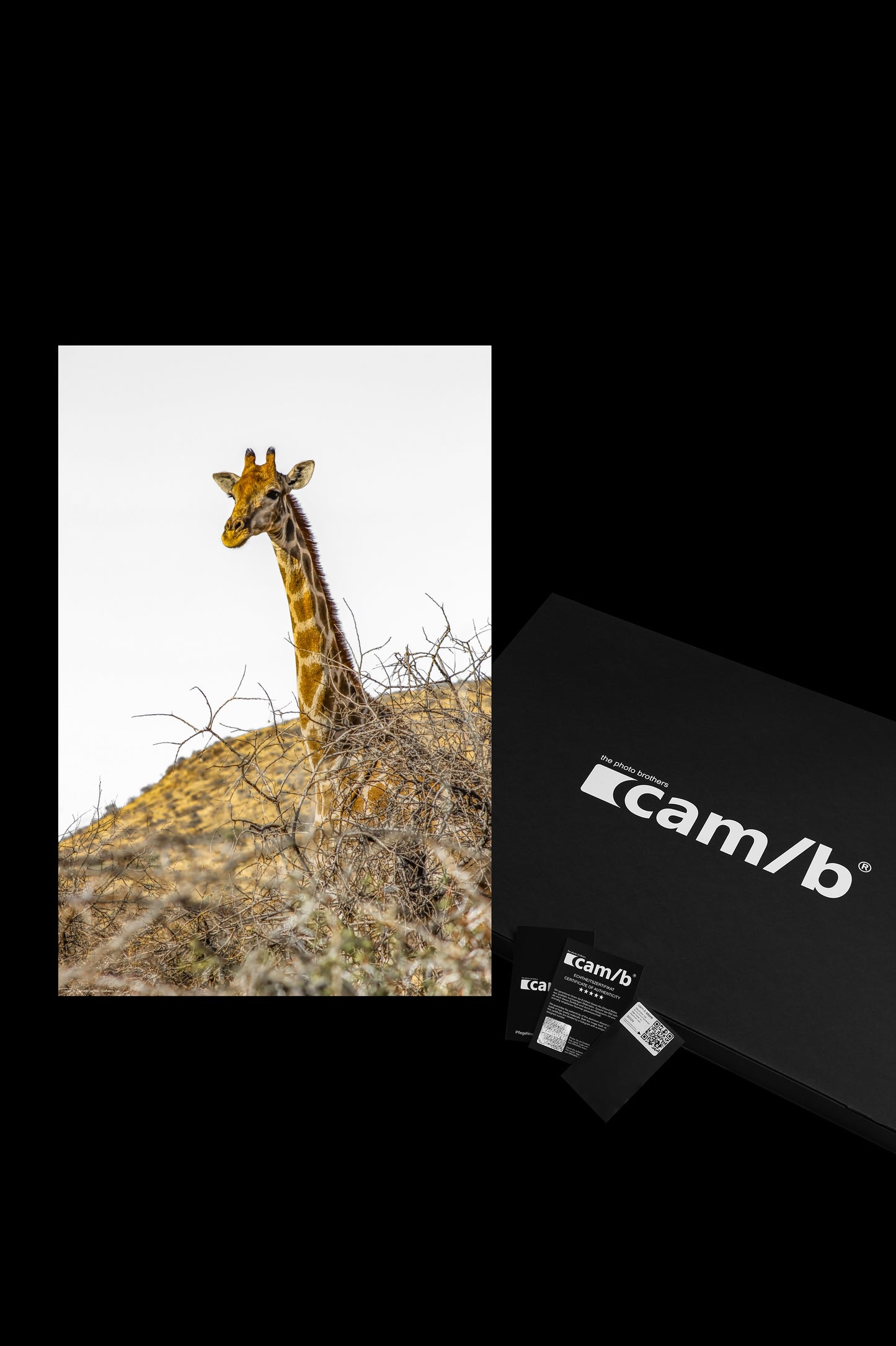 Wandbild "wilderness hills"