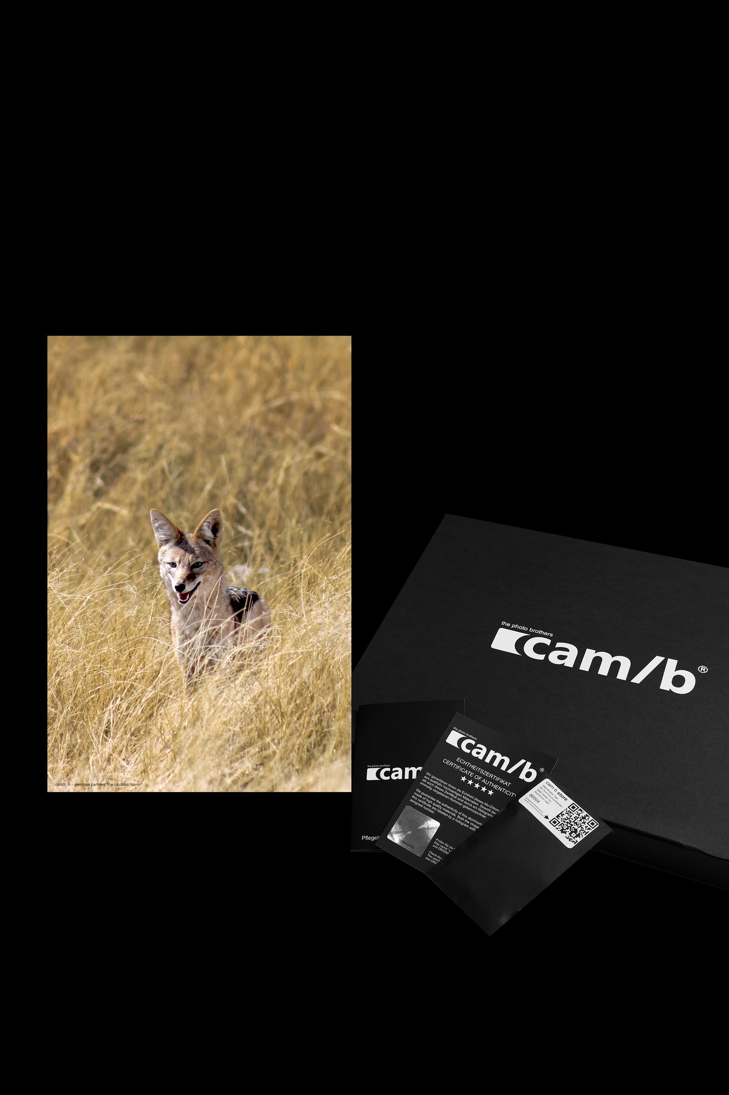 Wandbild "the cautious hunter"