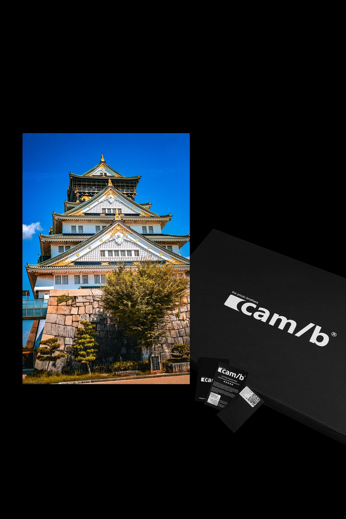 Wandbild "osaka castle"