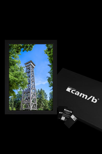 Wandbild "canopy" limitiert 5 Stück