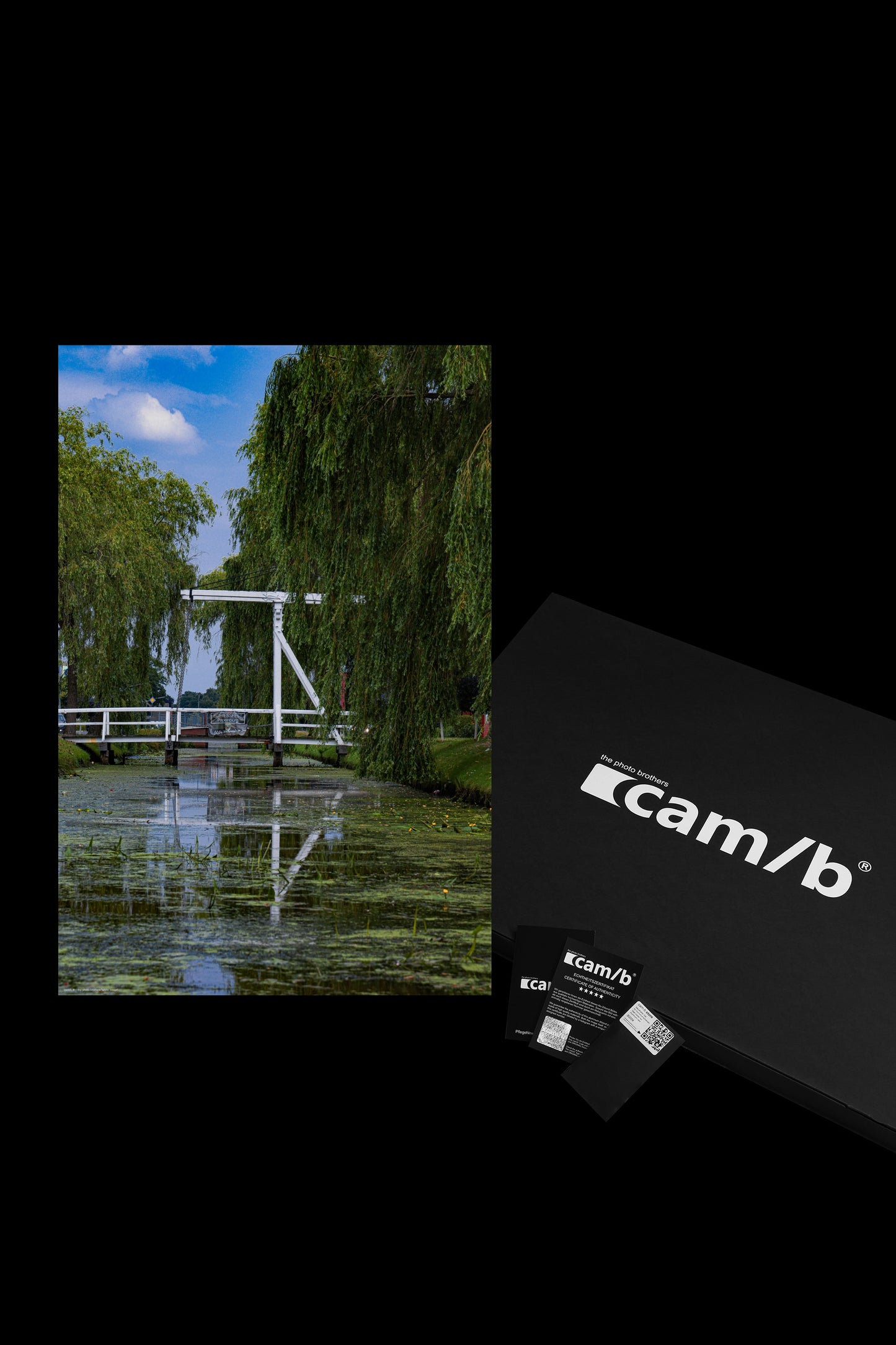 Wandbild "white bridge"