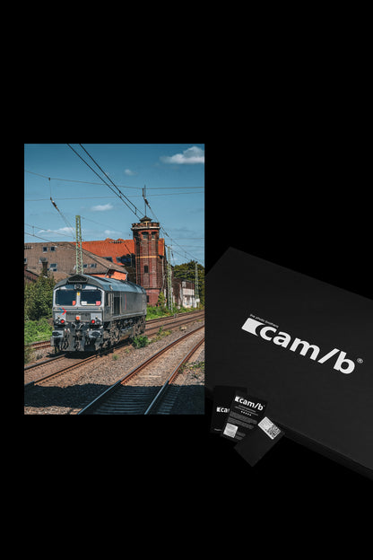 Wandbild "grounded legacy"