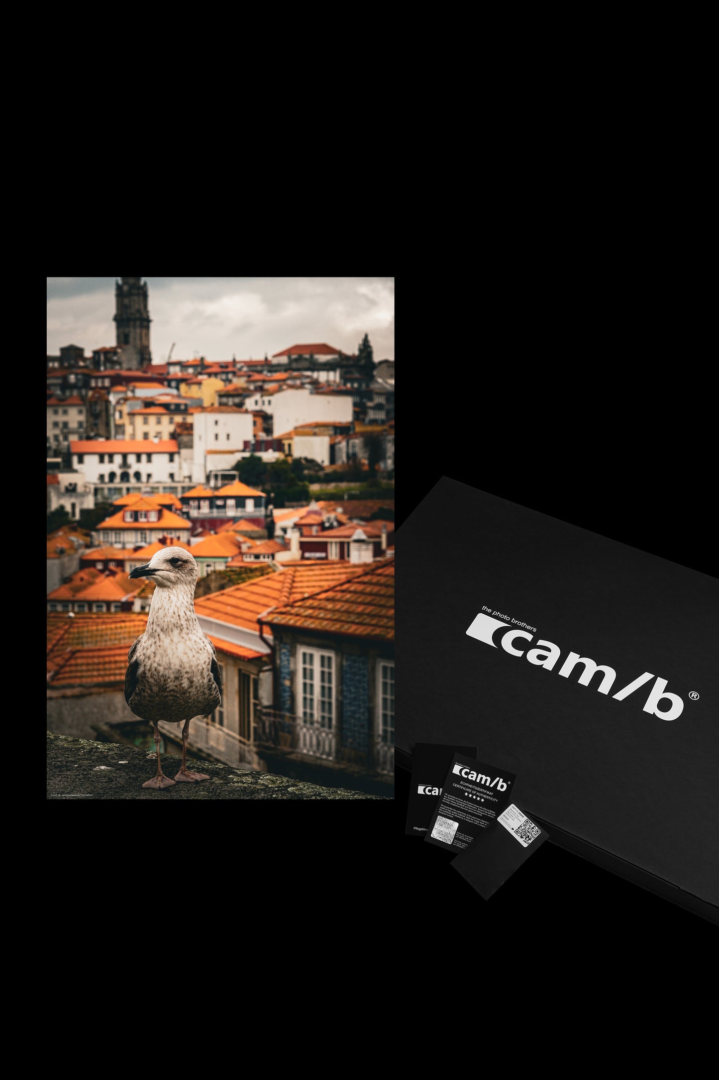 Wandbild "the lookout"