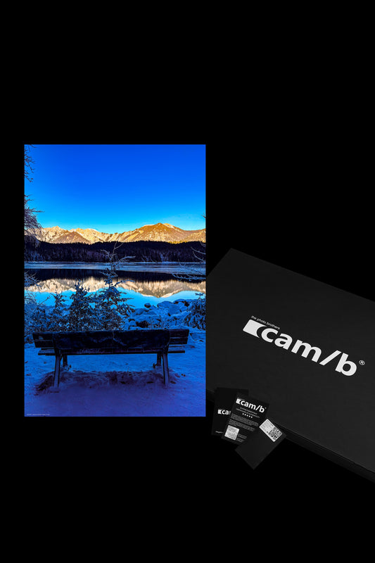 Wandbild "frozen in time"