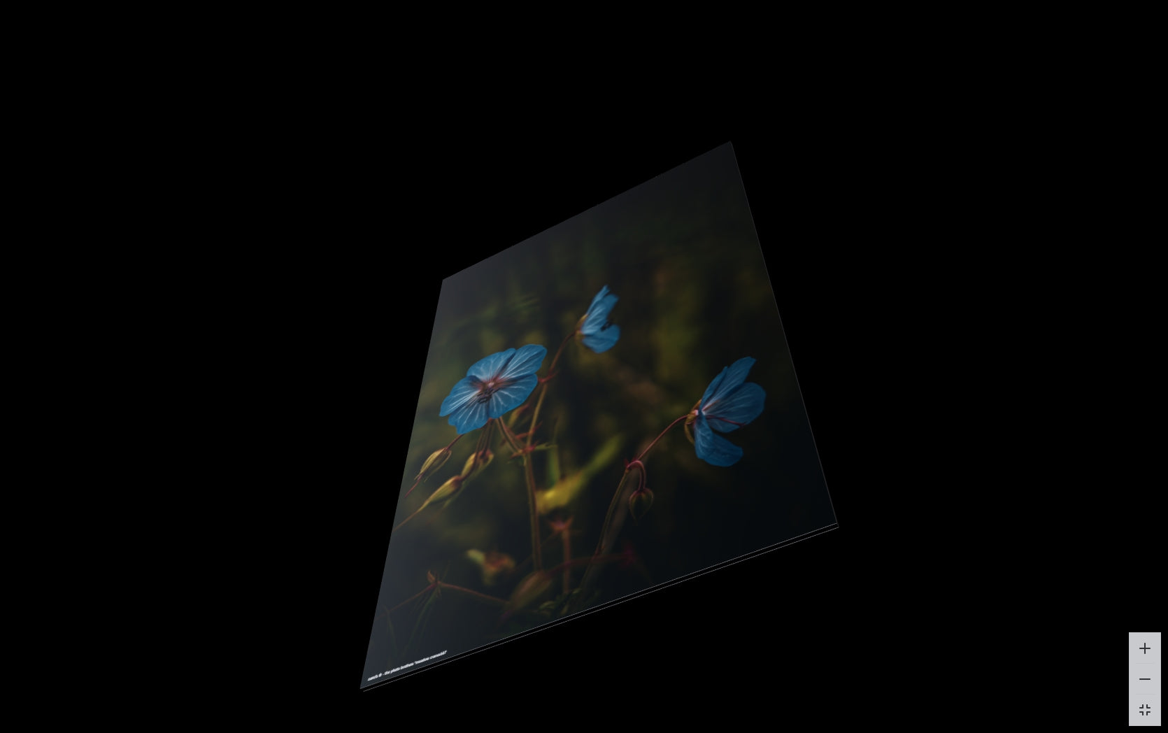 Bild: 3D Ansicht einer blauen Blume