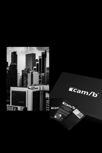 Wandbild "monochrome metropolis"