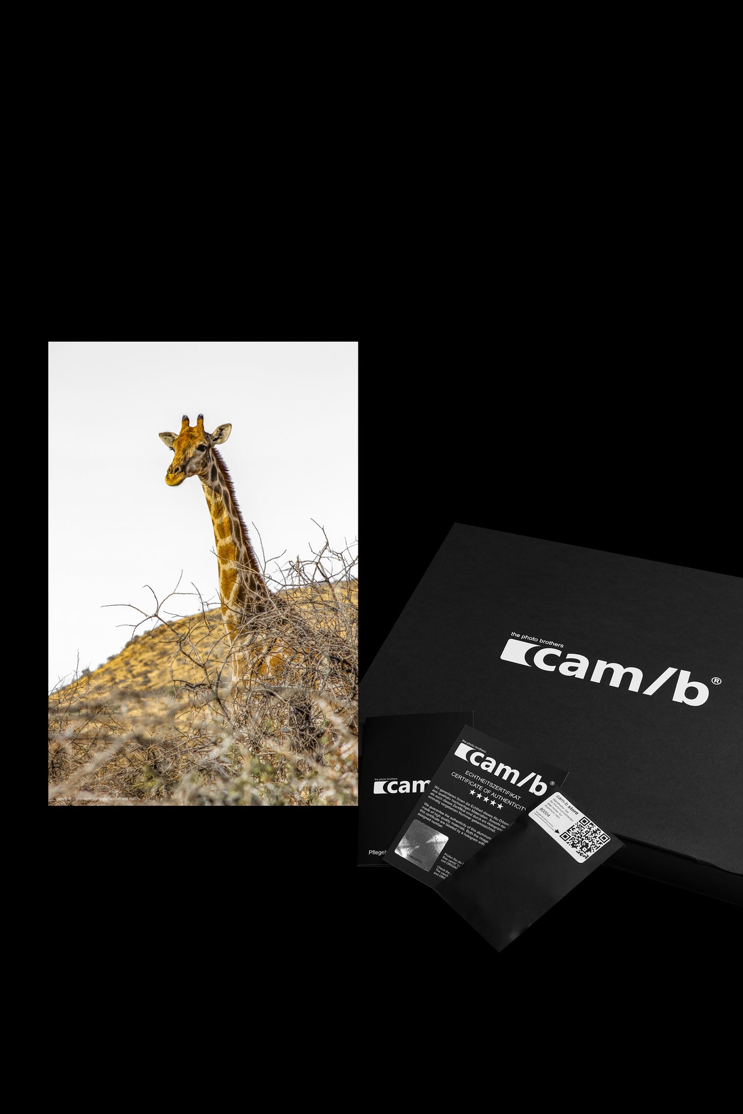 Wandbild "wilderness hills"