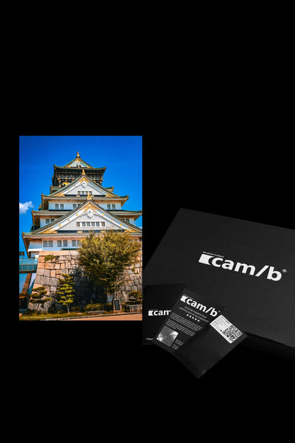 Wandbild "osaka castle"