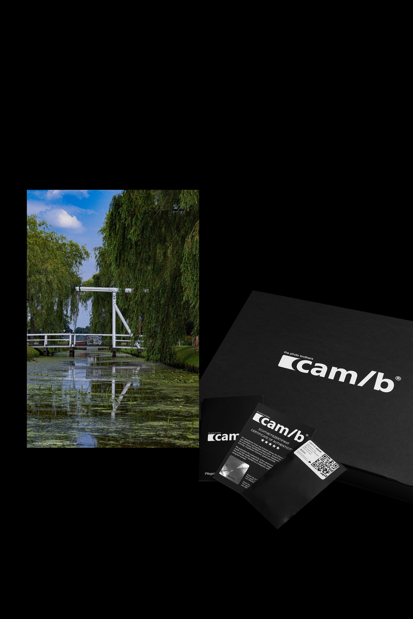 Wandbild "white bridge"