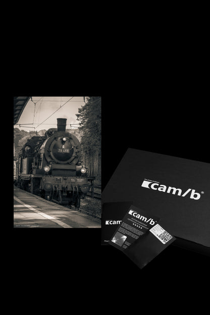 Wandbild "yesterday's gaze"