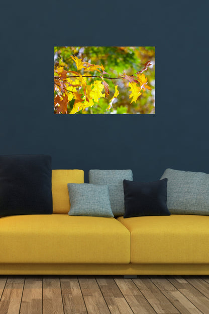 Wandbild "autumn paints"