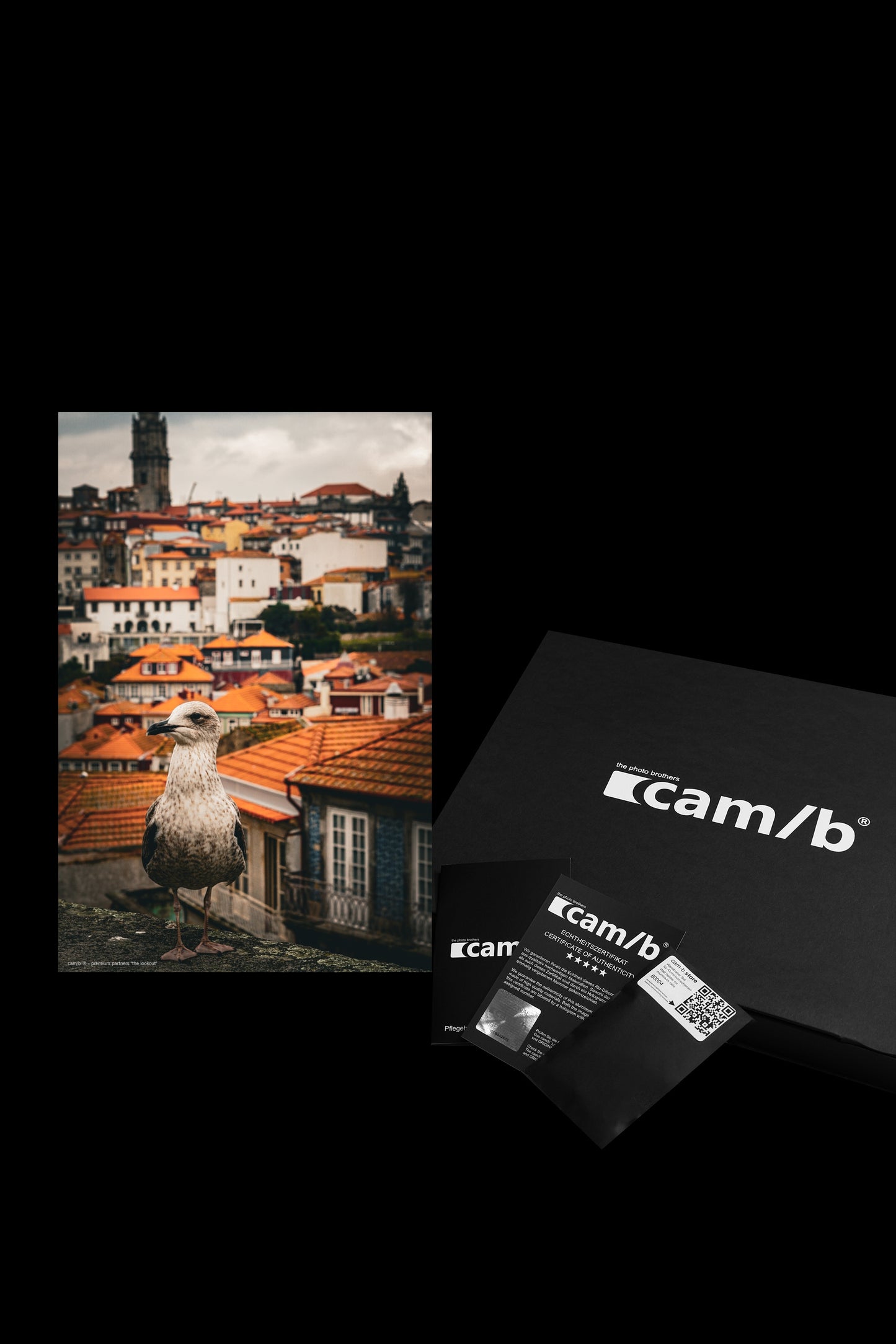 Wandbild "the lookout"