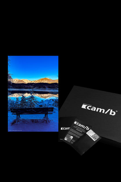 Wandbild "frozen in time"