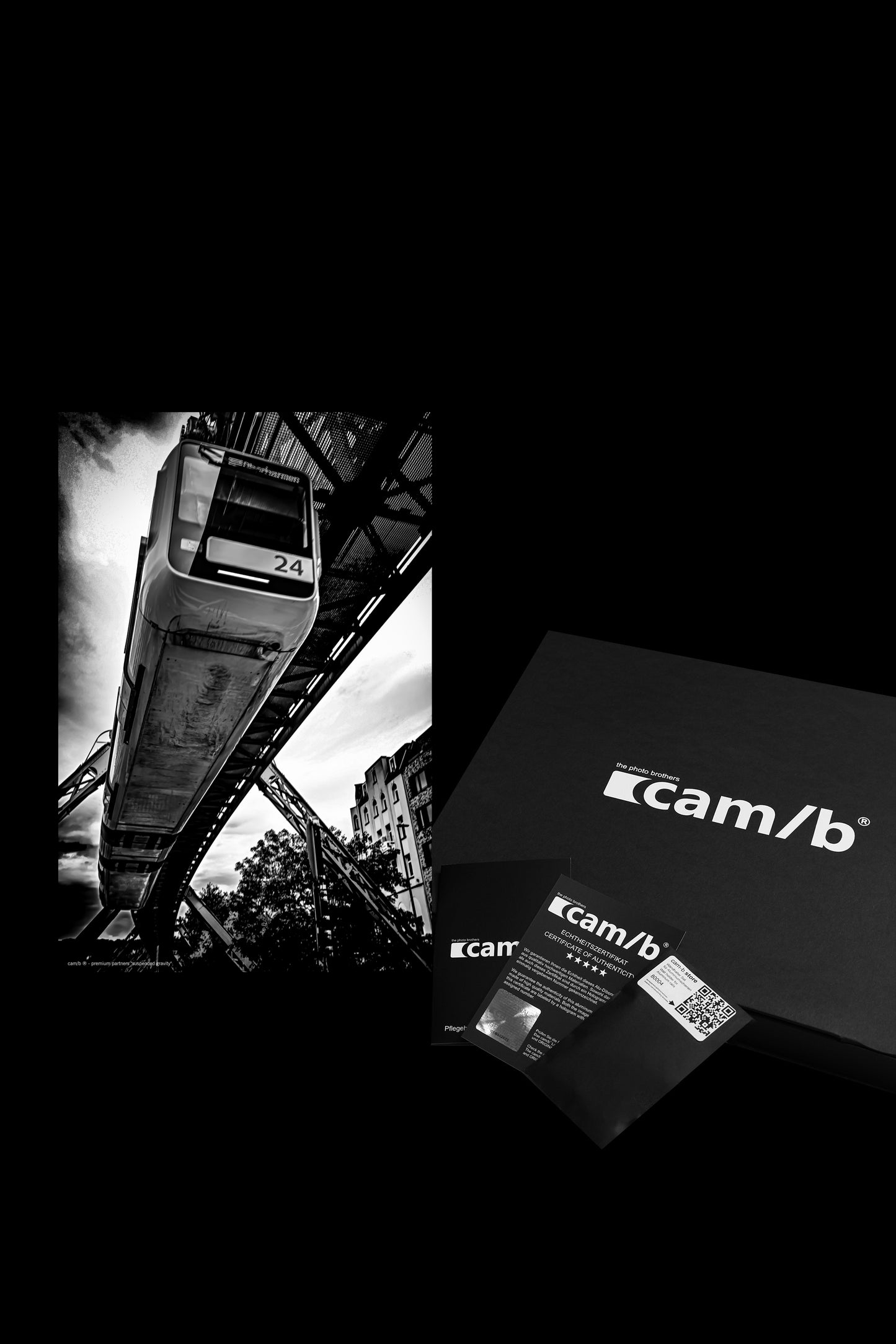 Wall Art "suspended gravity"