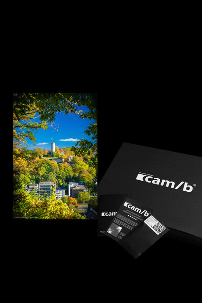 Wandbild "sparrenburg's gold"