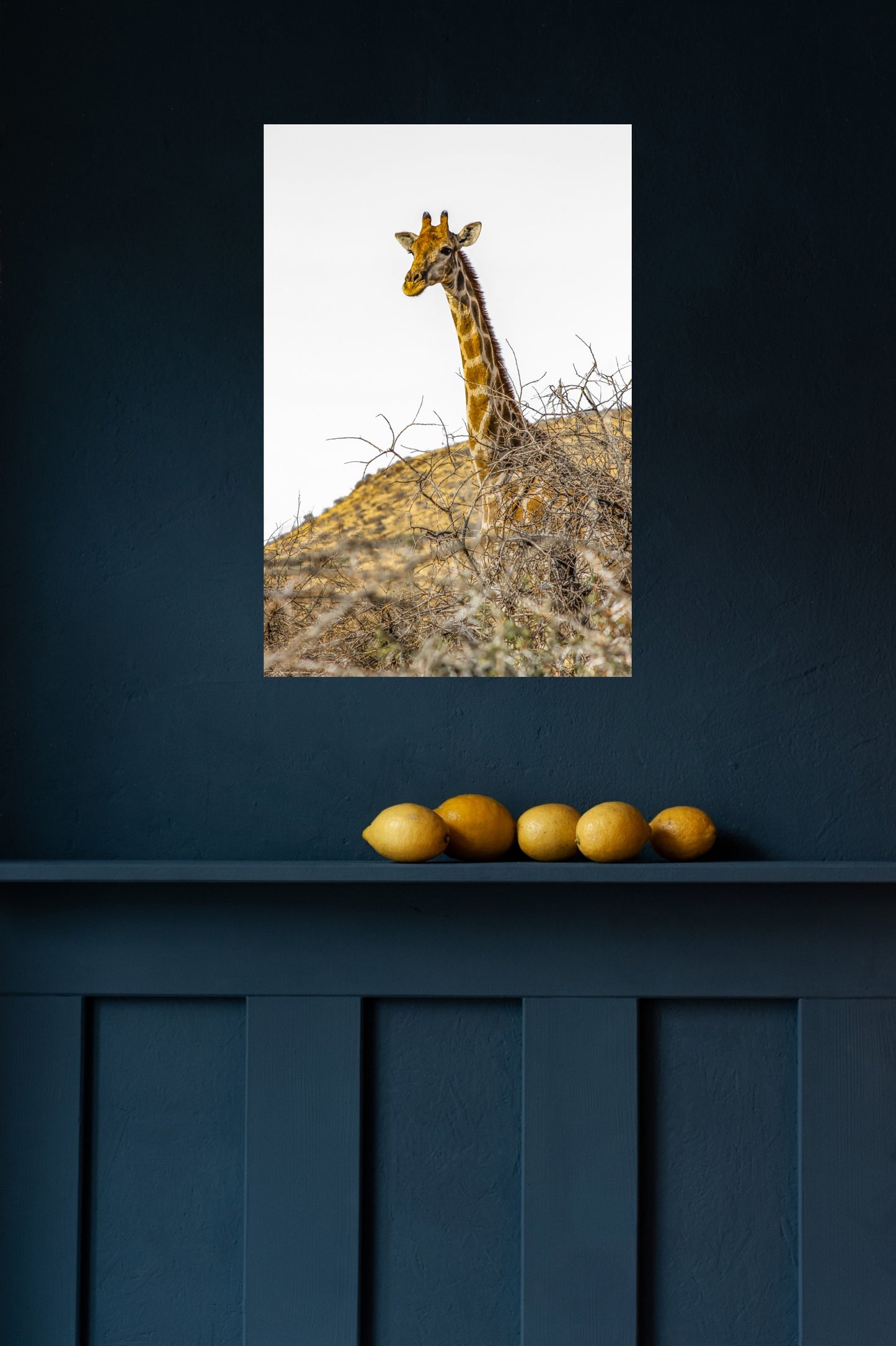 Wandbild "wilderness hills"