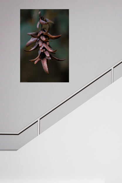 Wandbild "carpinus betulus"