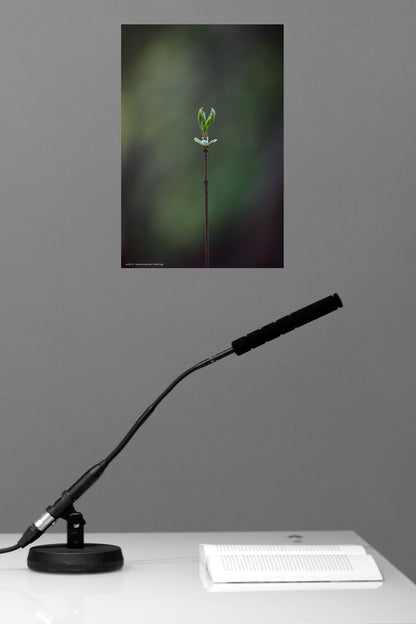 small twig