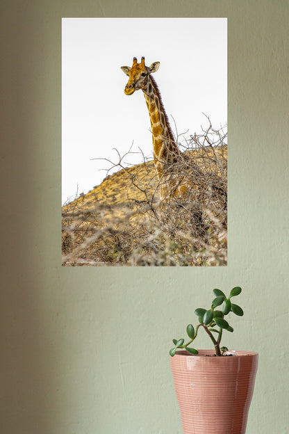 Wandbild "wilderness hills"