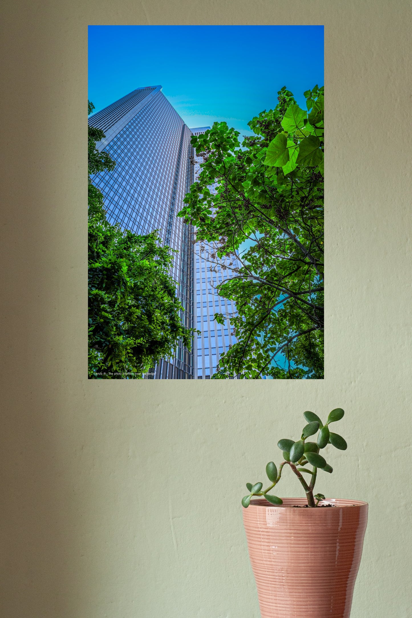 Wall Art "over the hedge"
