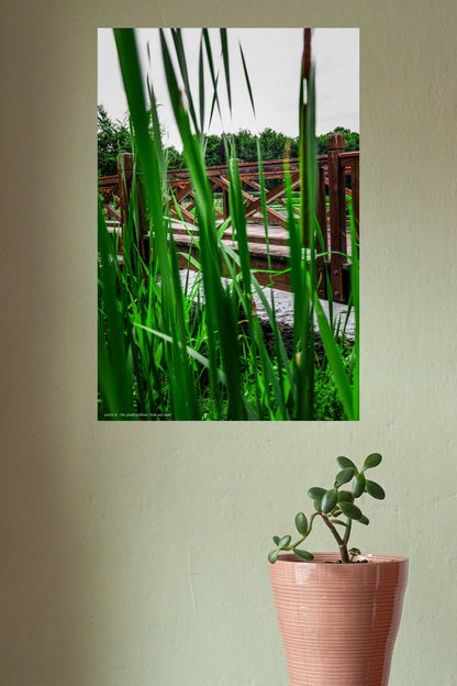 Wandbild "hide and seek"