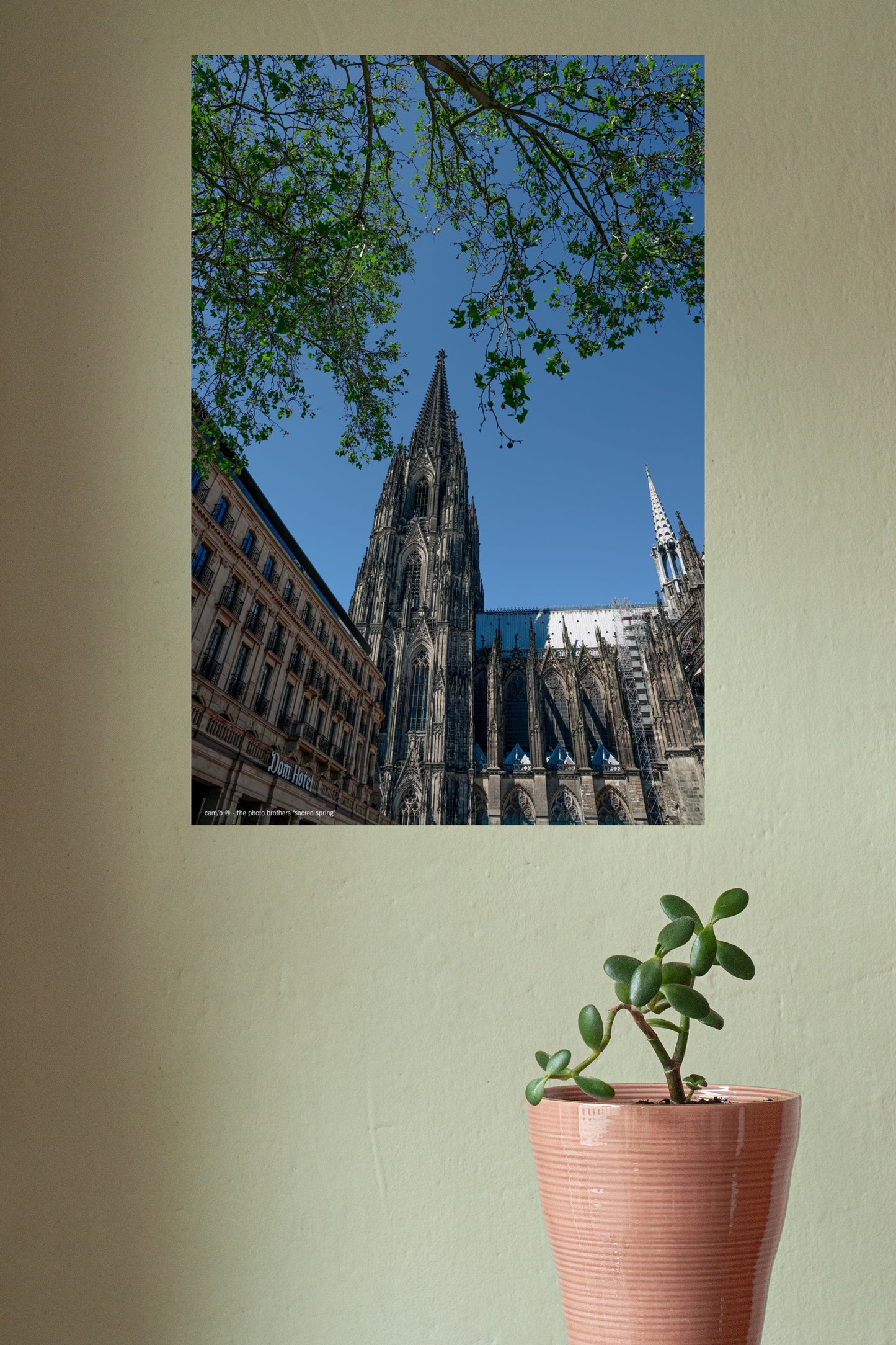 Wandbild "sacred spring"