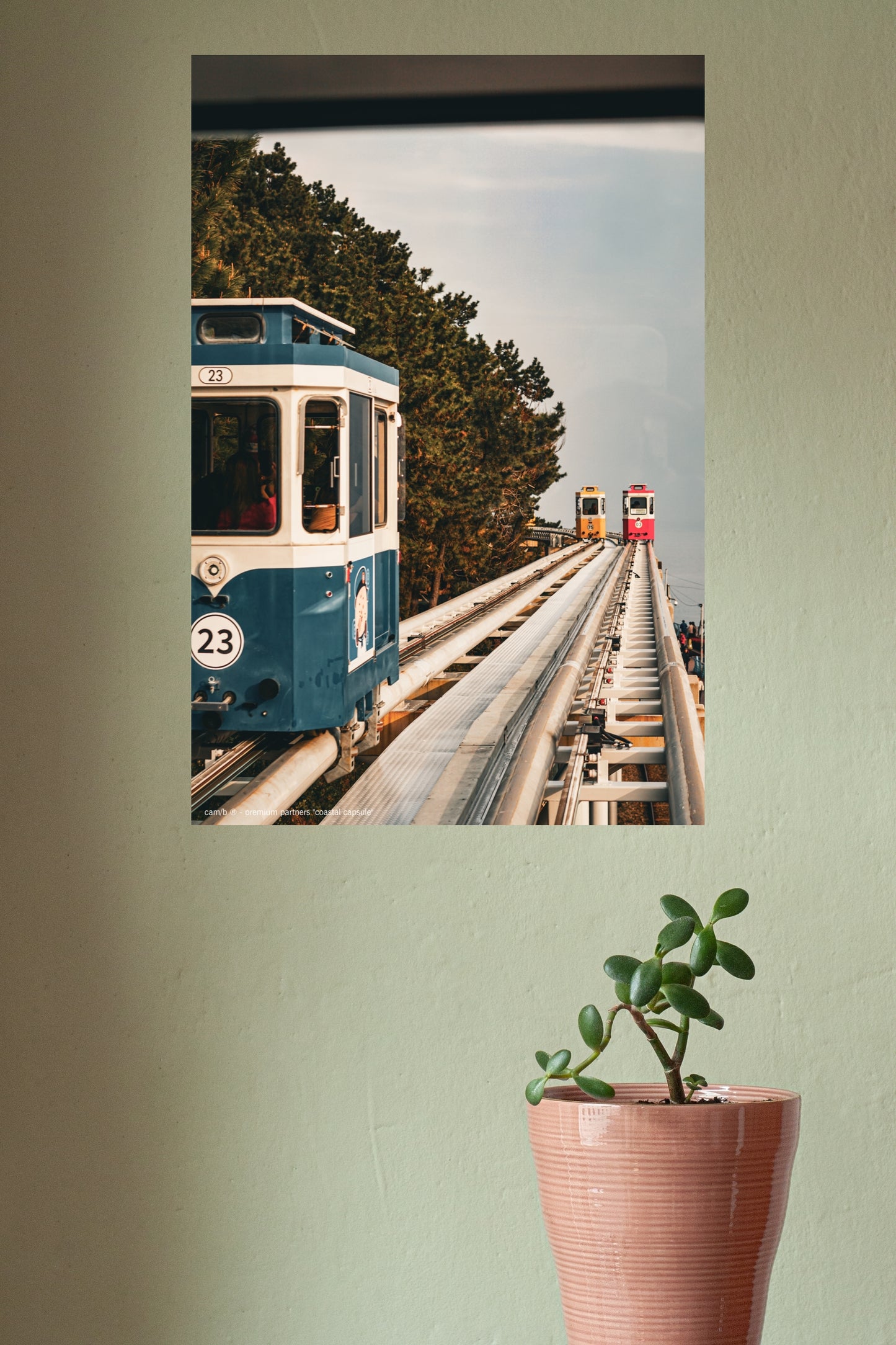 Wandbild "coastal capsule"