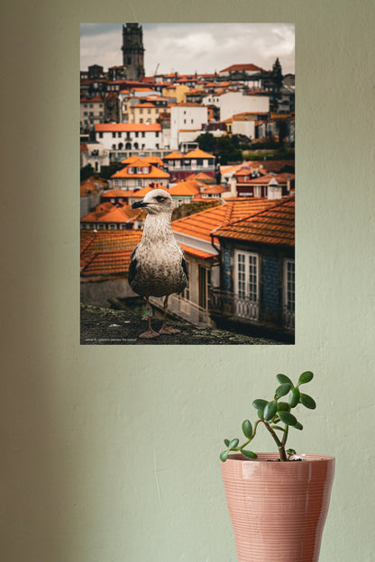 Wandbild "the lookout"