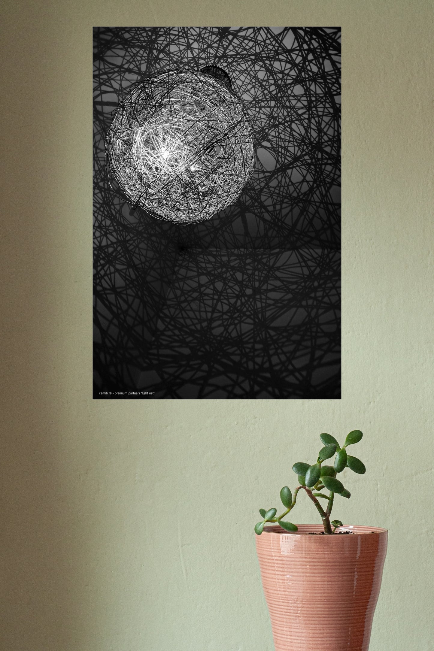 light net