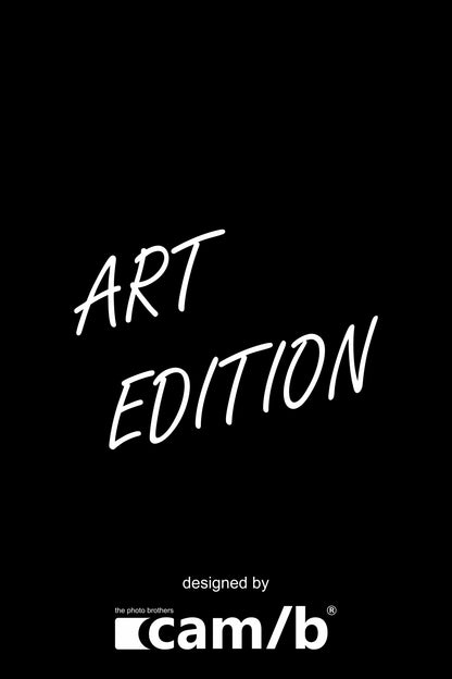 Art Edition Logo