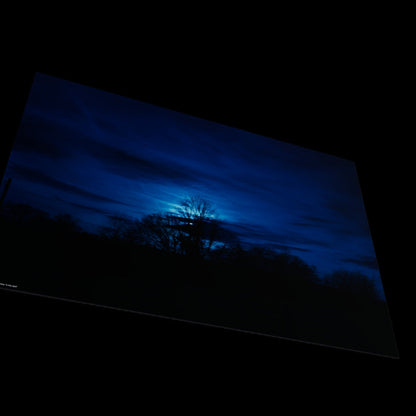 Wandbild "in the dark"