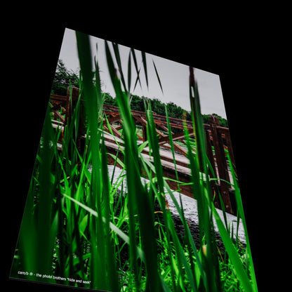 Wall Art "hide and seek"