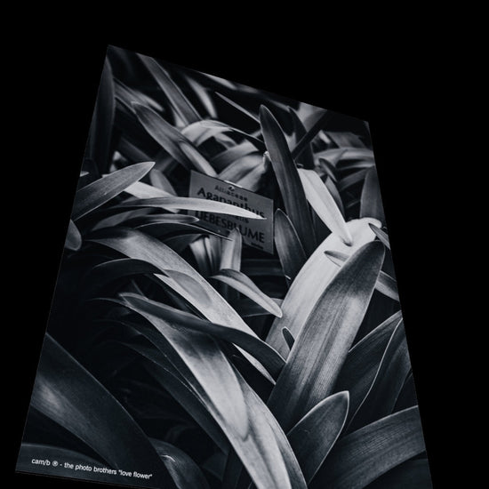 3D View