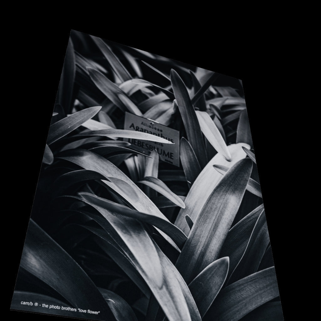 3D View