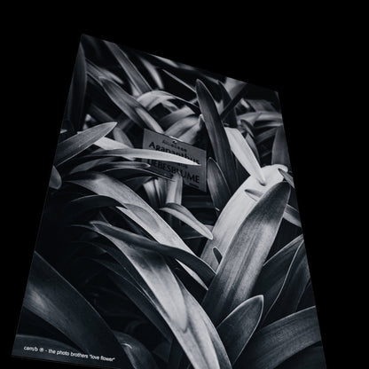 3D View