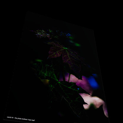Wandbild "neon leaf"