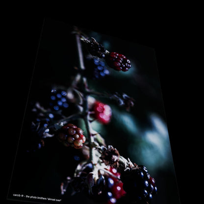 Wall Art "almost over"