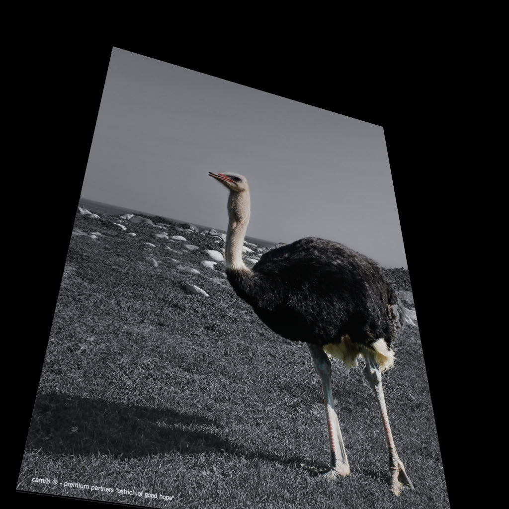 3D View