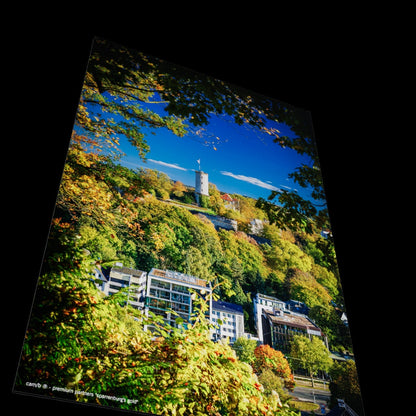 Wandbild "sparrenburg's gold"