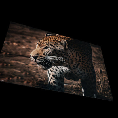 3D View