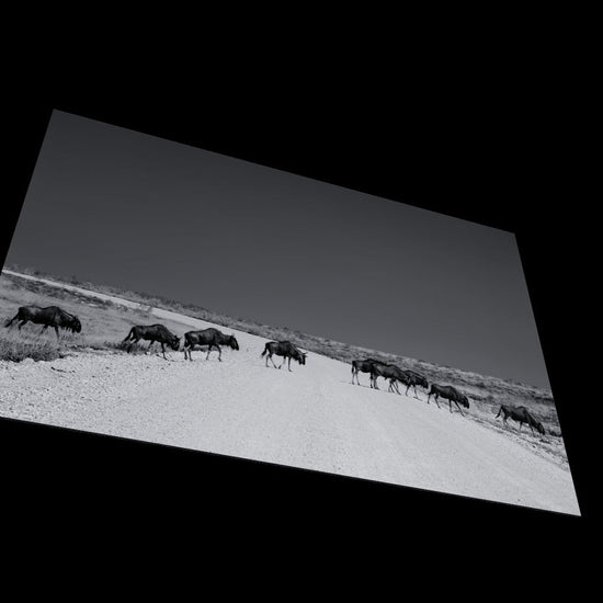 3D View