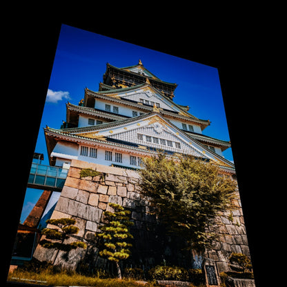 Wandbild "osaka castle"