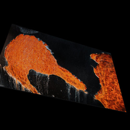 Wall Art "transience"