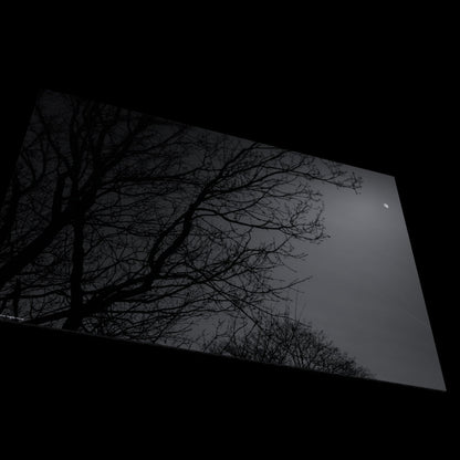 Wandbild "brightly shining"