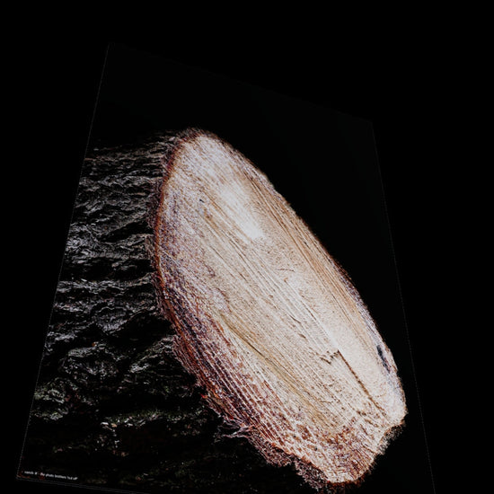 3D View