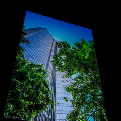 Wall Art "over the hedge"