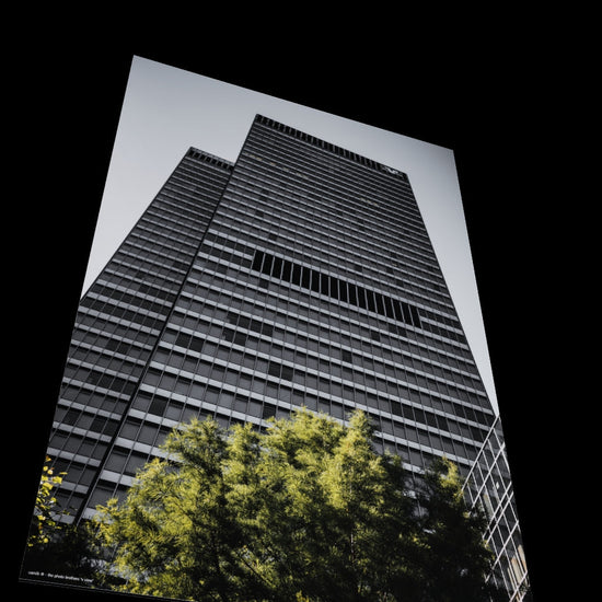 3D View