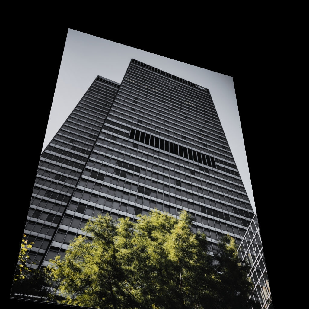 3D View