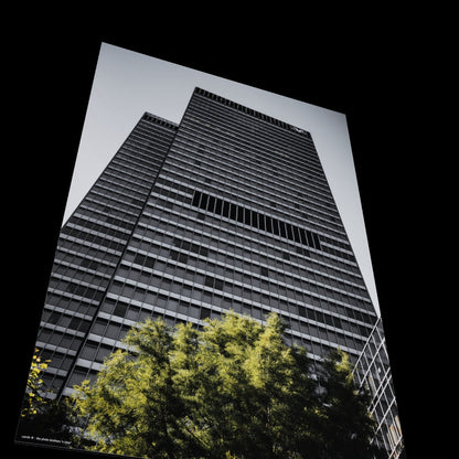 3D View